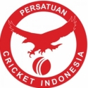 Turnamen Cricket Cari Bibit Emas Atlet Indonesia