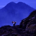 Gunung Ijen Dan Alas Purwo Jadi Biosfer Dunia, Bupati Banyuwangi Senang