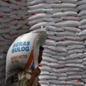 Bulog Belum Sigap Serap Hasil Tani