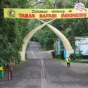 Pengelola Taman Safari Harus Hentikan Ekploitasi Satwa