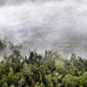 APP-Sinar Mas Apresiasi Mahasiswa Bandung Restorasi Hutan Lindung