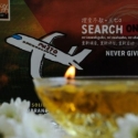 Diduga Puing MH370 Ditemukan Di Mauritius