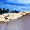 Peselancar Eropa-Amerika Siap Jajal Sungai Kampar
