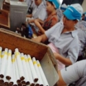 Industri: Cukai Boleh Naik, Tapi 6 Persen Saja