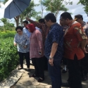 Megawati Janji Beri Risma Bunga Sokaraja Besar Untuk Taman Harmoni
