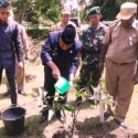 Prajurit Kostrad Dan Pemkab Keerom Tanam 20 Ribu Pohon
