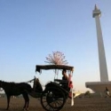 Ahok Diminta Kembali Izinkan Delman Beroperasi di Monas