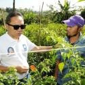 Di Kebun Cabai, Mang Asep Curhat Ke Pejabat Negara