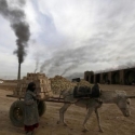 Konflik Tak Kunjung Usai, Pekerja Anak Di Irak Meningkat