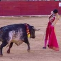 Matador Spanyol Tewas Ditanduk Banteng