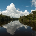 Sekelompok Turis Dirampok Di Tengah Sungai Amazon