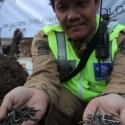1.400 Kg Paku Dari Jalanan Ibukota