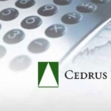 Cedrus Investment Gugat Media Online Berbahasa Inggris