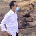 Jangan Tunggu Presiden Blusukan Lagi Ke Hutan