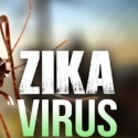 Antisipasi Virus Zika, Kemenkes Kudu Sigap Dan Ekstra Waspada