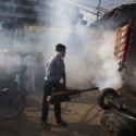 New Delhi Berjuang Lawan Chikungunya