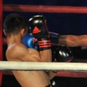 Menpora Dorong Petinju Dunia Dari Indonesia Boxing Championship
