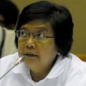 Menteri Siti Pelajari Kemungkinan Pencabutan Izin PT RAPP