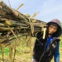 Pengusaha Senang Petani Meradang...