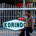 Korindo Bantah Telah Membakar Lahan Untuk Perkebunan Sawit