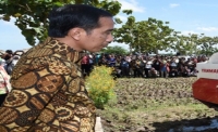 Presiden Tegaskan Indonesia Tidak Akan Impor Beras
