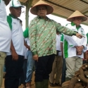 Mahyudin Kagum Bekas Tambang Jadi Lahan Produktif
