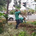 Sejumlah Petugas Rapikan Taman Di Depan Balaikota