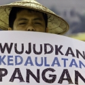 Isu Impor Pangan Cuma Sebatas Buat Kampanye Doang