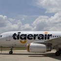 Tabrakan Dengan Burung, Pesawat Tigerair Putar Balik Ke Hong Kong