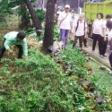 Taman Rusak Sudah Ditanami Pohon Lagi