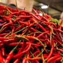 Warning BPS: Awas, Harga Cabe Bakal Terus Meroket