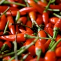 Cabe Kerek Inflasi November 0,47 %