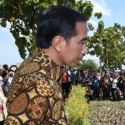 Jokowi Diimbau Duduk Bersama Rachmawati Bahas Ancaman Krisis
