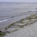 Pantai Bulbul Kotor Akibat Perayaan Tahun Baru