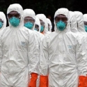 Pemerintah Harus Bertindak Antisipasi Penyebaran Anthrax