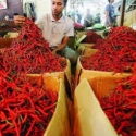Dinantikan Solusi Pemerintah Atas Lonjakan Harga Cabai