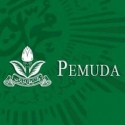 Pemuda Muhammadiyah: PP 72/2016 Kejar Ambisi, Tabrak Konstitusi