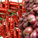 Hadapi Musim Hujan, Kementan Pede Tak Akan Impor Cabe-Bawang