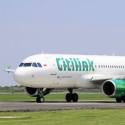Garuda Setujui Pengunduran Diri Dirut & Direktur Citilink