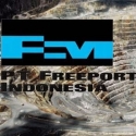 Pemerintah Harus Bijak Jika Freeport Dialihkan Ke Tiongkok