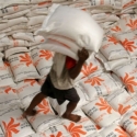 Bulog Targetkan Bentuk Jaringan 30 Ribu Rumah Pangan Kita