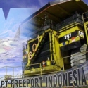 Banyak Investor Nafsu Garap Tambang Freeport