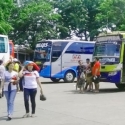 Pemilik Warung Makan Pun Mau Pindah Ke Pulo Gebang