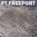 Jangan Takut, Kita Bisa Mengalahkan Freeport
