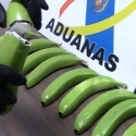 Polisi Bongkar Penyelundupan Kokain Dalam Puluhan Pisang Buatan