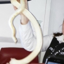 <i>Snake On The Plane</i> Di Dunia Nyata Bikin Geger Penerbangan Ke Alaska