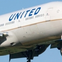 Kalajengking Sengat Penumpang Bisnis Di United Airlines