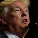 Bernie Sanders: Trump Tidak Akan Terpilih Kembali Untuk Periode Kedua