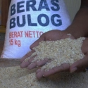 Di Lebak, Beras Pra Sejahtera Dikeluhkan Apek Dan Kotor