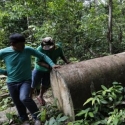Perselisihan Tanah, Sekelompok Petani Brasil Serang Penduduk Asli